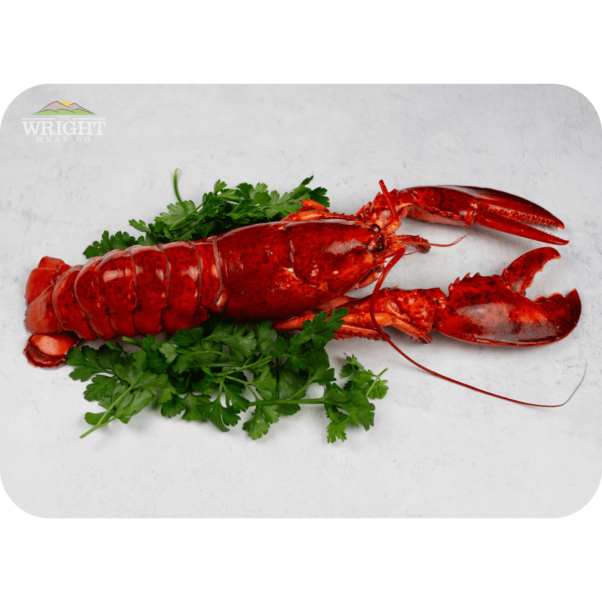 Surf & Turf Sampler - Image 2
