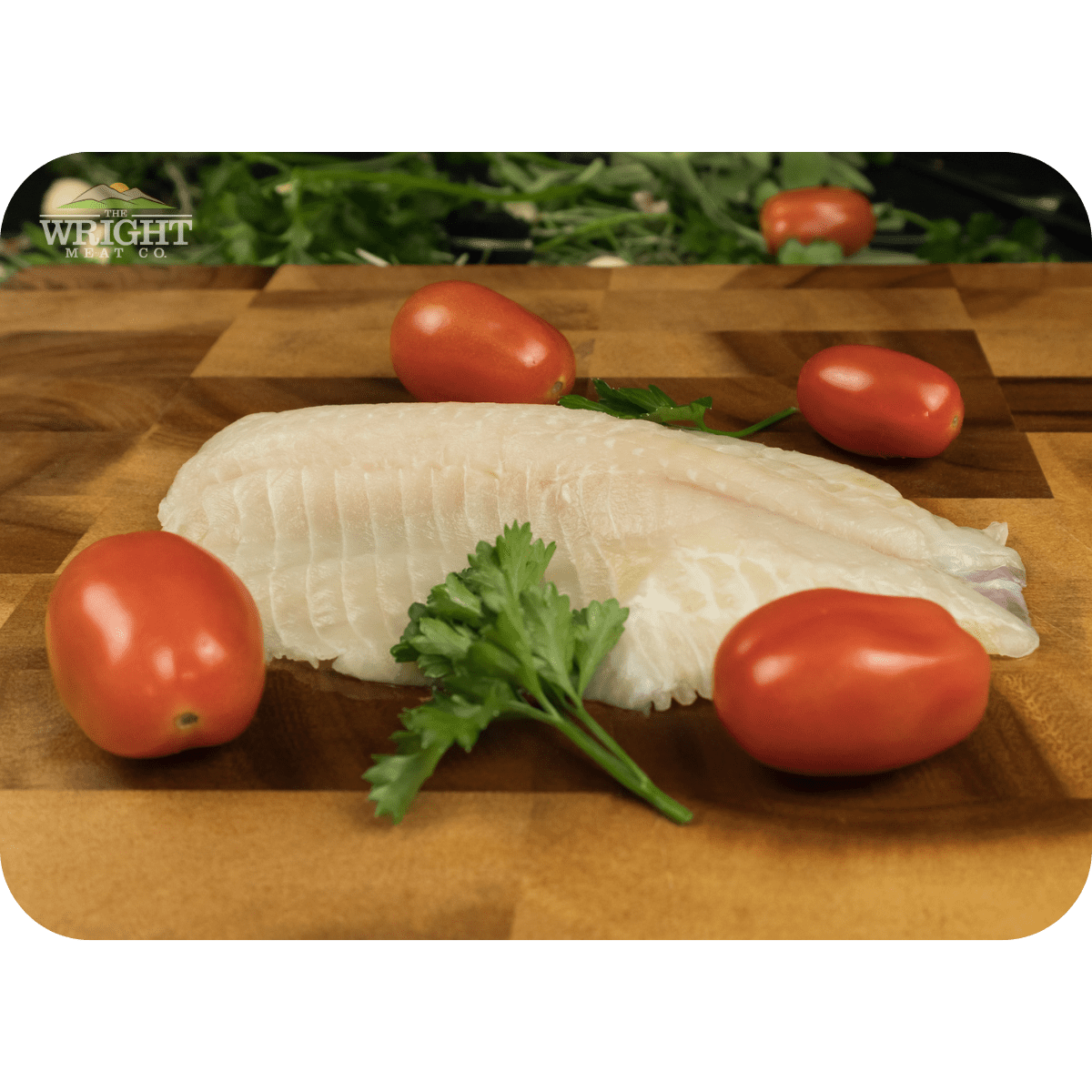 Gulf Seafood Family Case - Image 5
